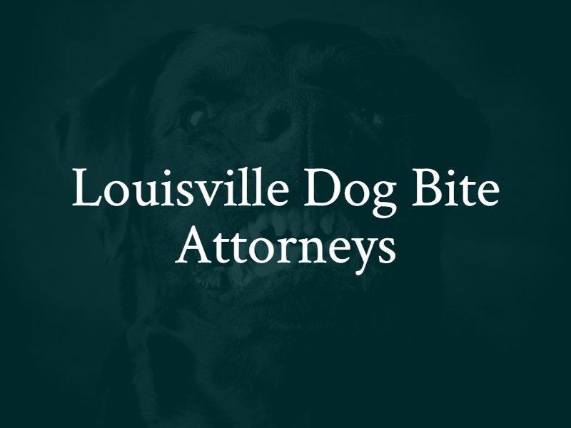 Louisville Dog Bite Lawyer